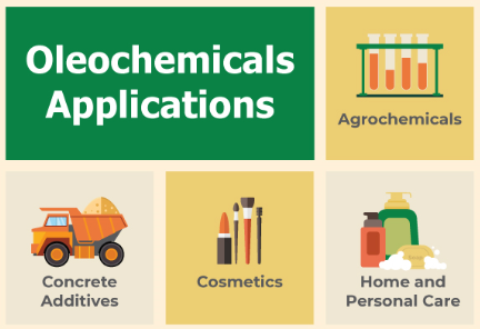 How is Palm Oil Made into Oleochemicals?